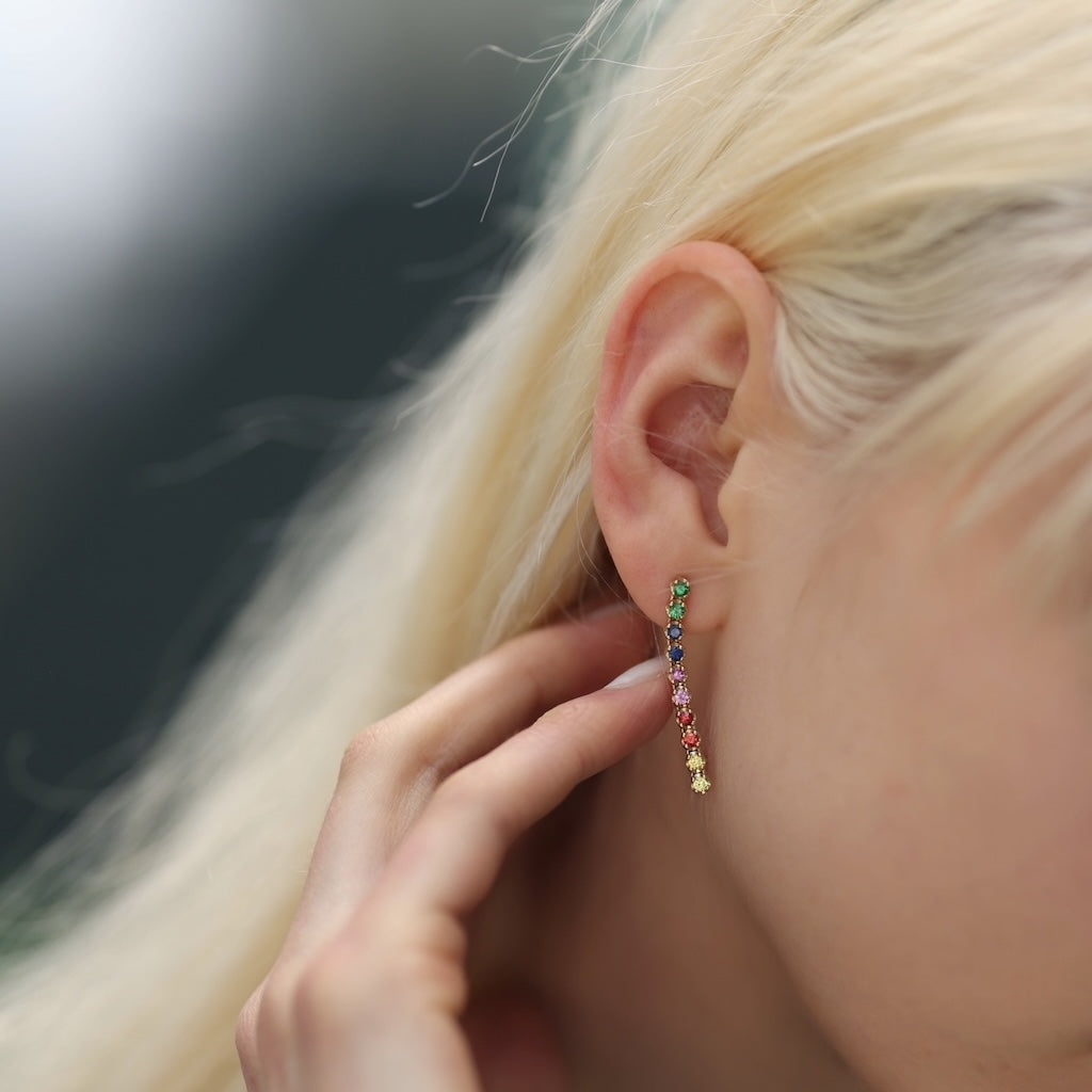 Rainbow line earrings(pierce251)